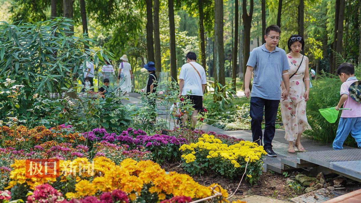 云顶集团网址是多少